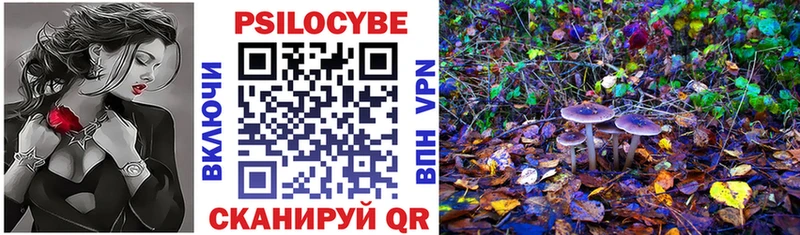 Купить  Шатура  Псилоцибиновые грибы мухоморы 